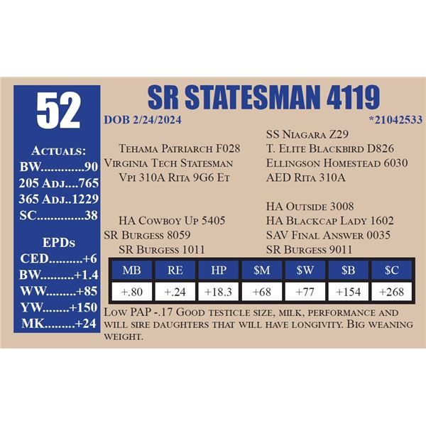 SR STATESMAN 4119