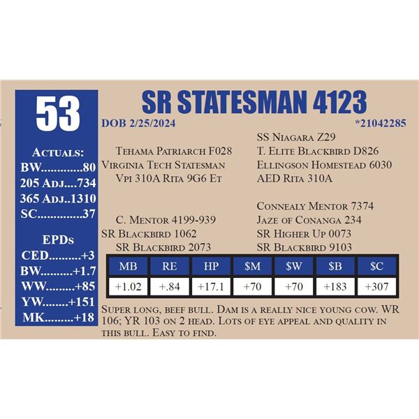 SR STATESMAN 4123