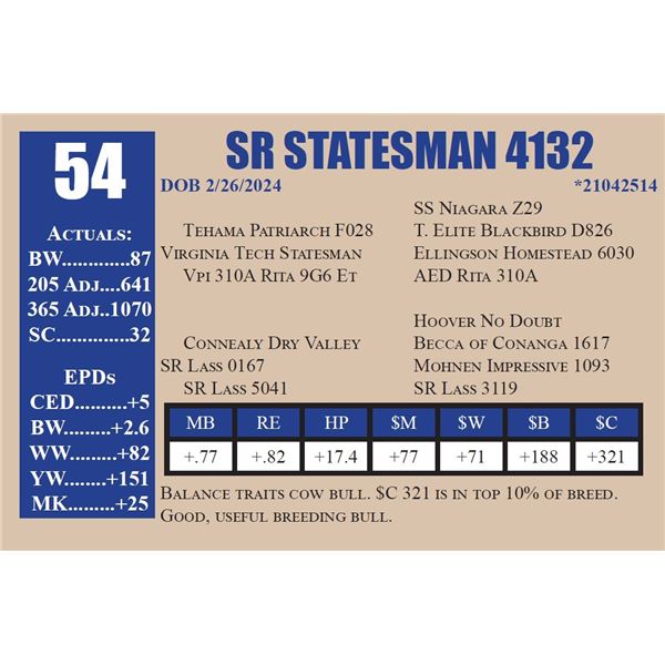 SR STATESMAN 4132