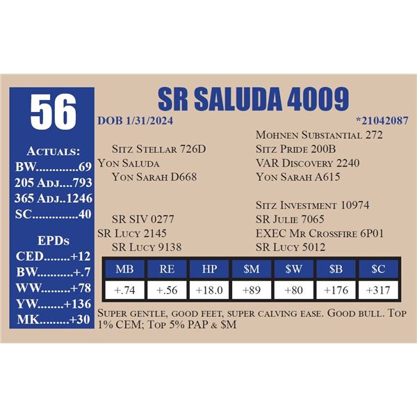 SR SALUDA 4009