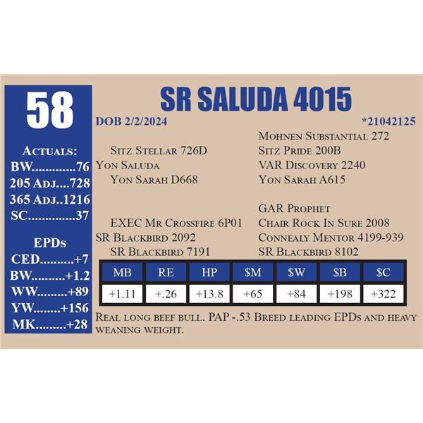 SR SALUDA 4015