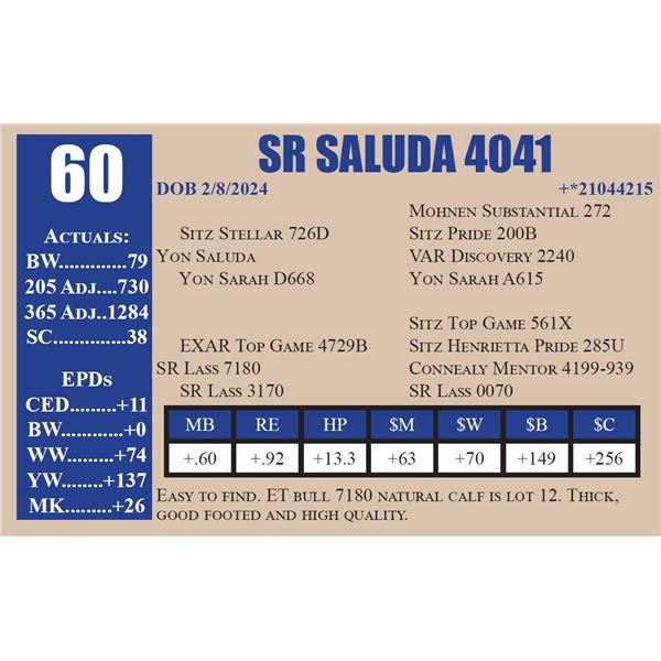 SR SALUDA 4041