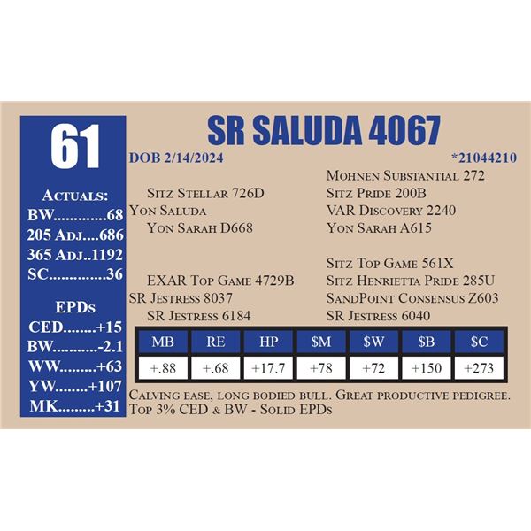SR SALUDA 4067