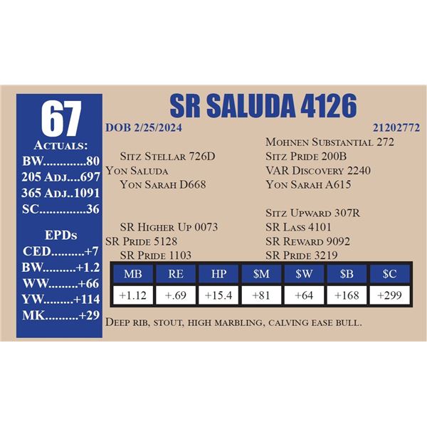 SR SALUDA 4126