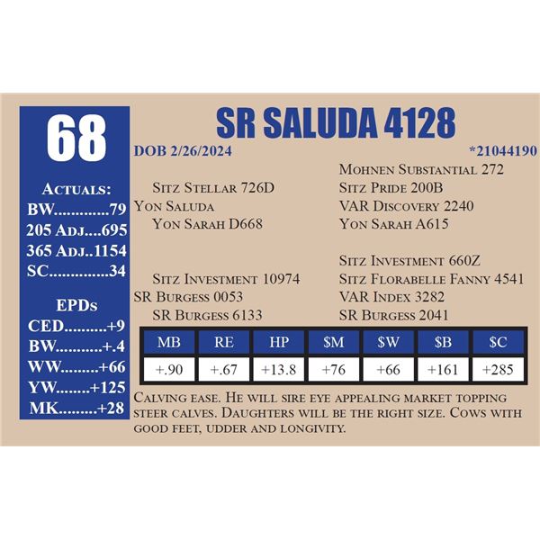 SR SALUDA 4128