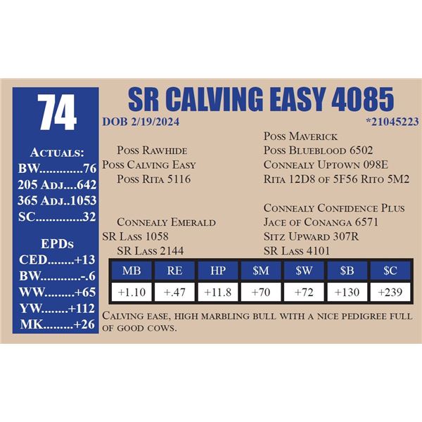 SR CALVING EASY 4085