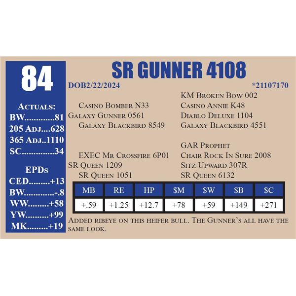 SR GUNNER 4108