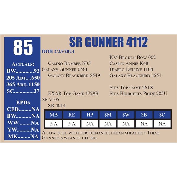 SR GUNNER 4112