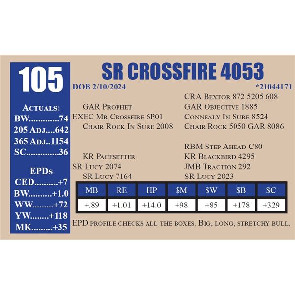 SR CROSSFIRE 4053