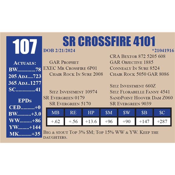SR CROSSFIRE 4101