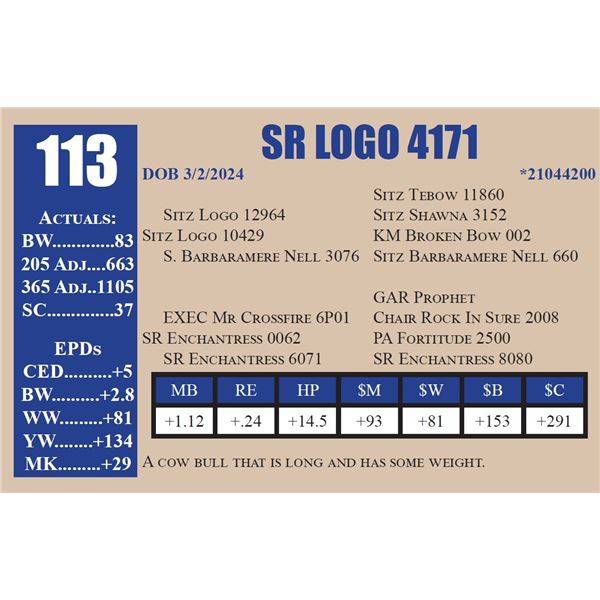 SR LOGO 4171