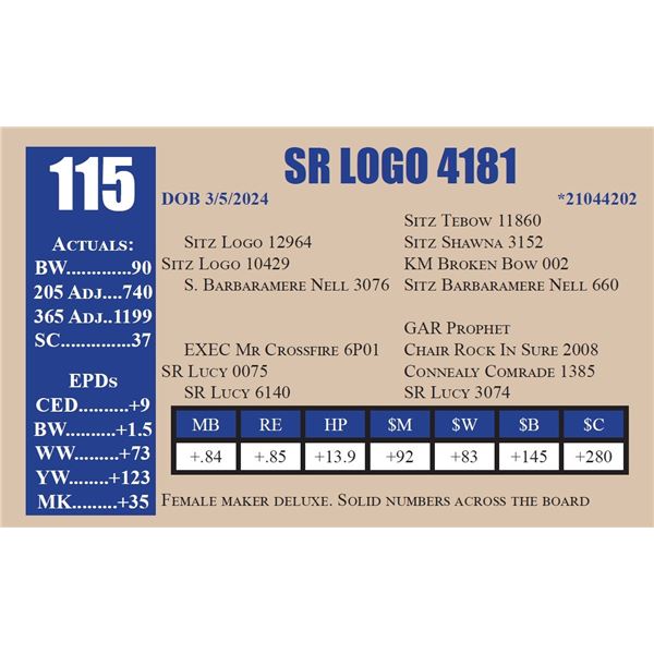 SR LOGO 4181
