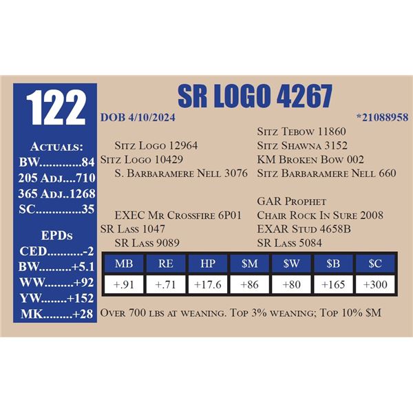 SR LOGO 4467