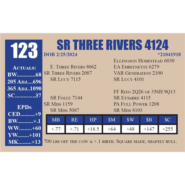 SR THREE RIVERS 4124