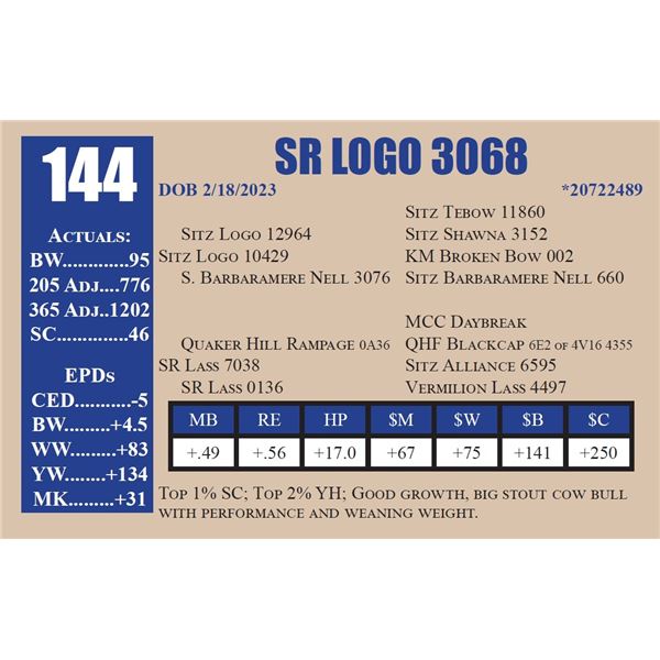SR LOGO 3068
