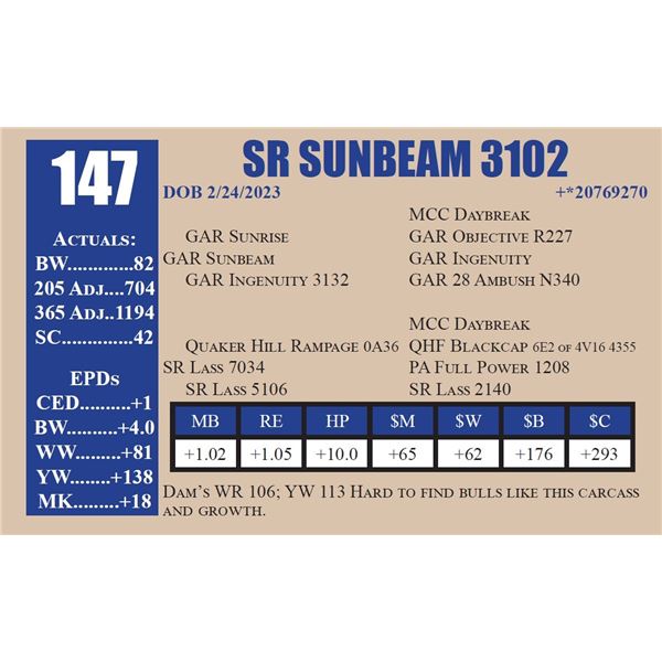 SR SUNBEAM 3102