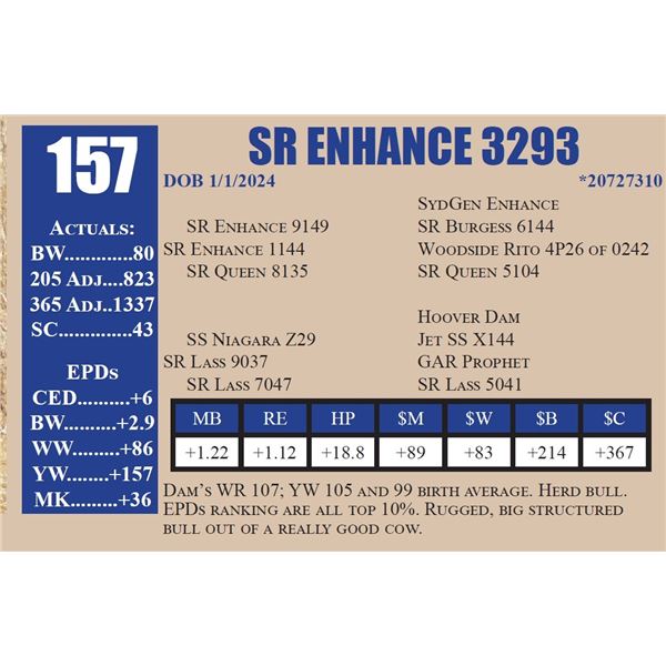 SR ENHANCE 3293
