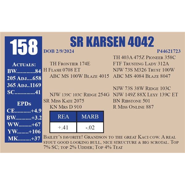 SR KARSEN 4042