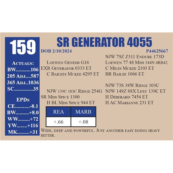 SR GENERATOR 4055