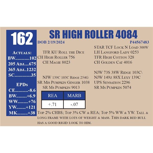 SR HIGH ROLLER 4084