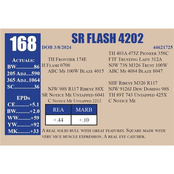 SR FLASH 4202