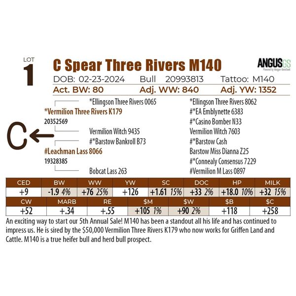 C Spear Three Rivers M140