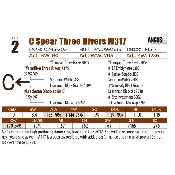 C Spear Three Rivers M317
