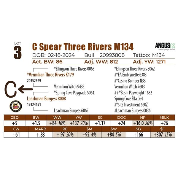 C Spear Three Rivers M134