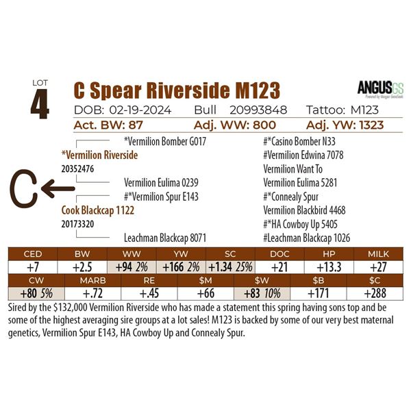C Spear Riverside M123