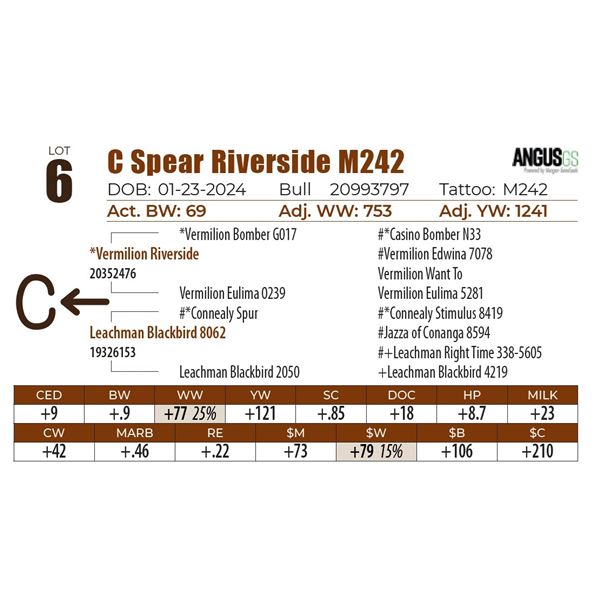 C Spear Riverside M242