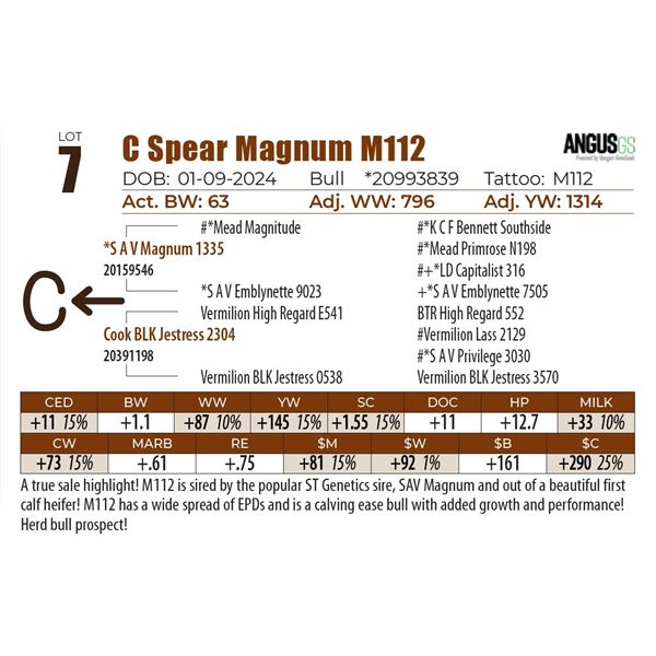 C Spear Magnum M112
