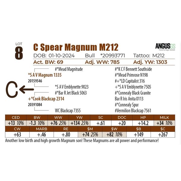 C Spear Magnum M212