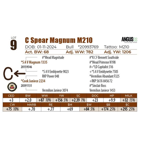 C Spear Magnum M210