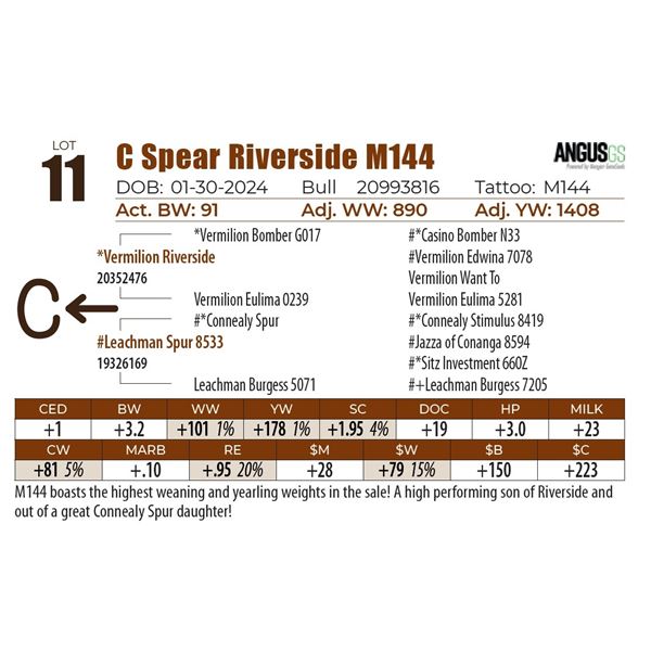 C Spear Riverside M144