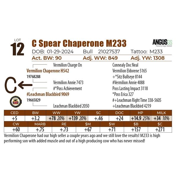 C Spear Chaperone M233