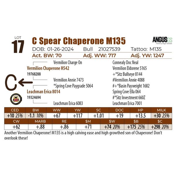C Spear Chaperone M135