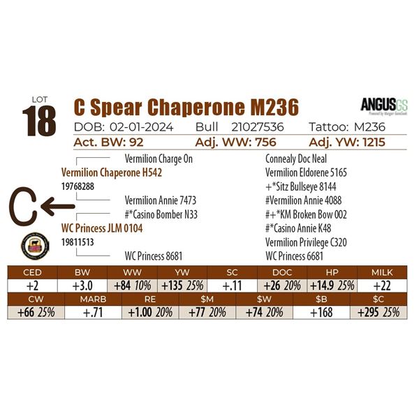 C Spear Chaperone M236