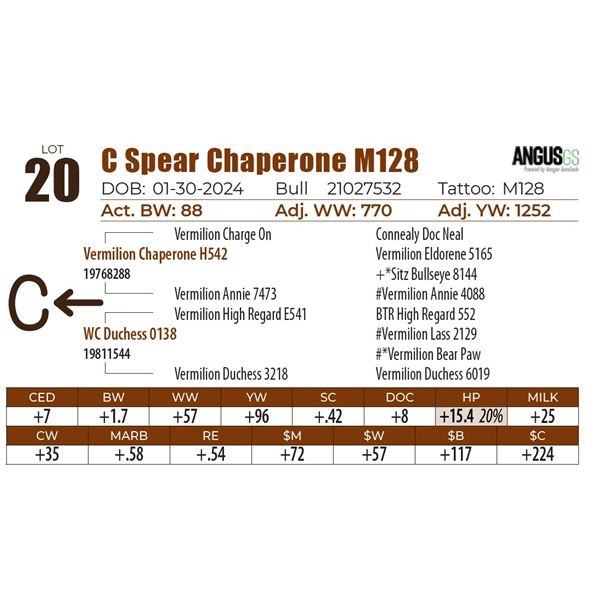 C Spear Chaperone M128