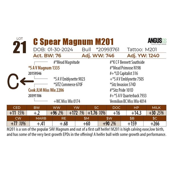 C Spear Magnum M201