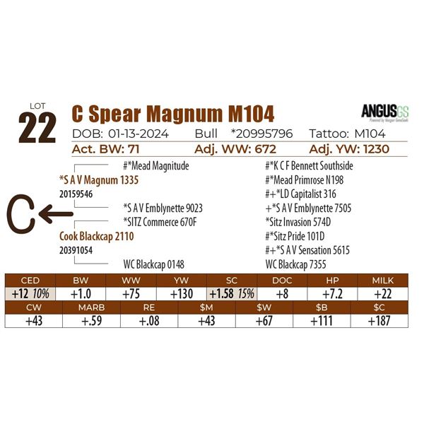 C Spear Magnum M104