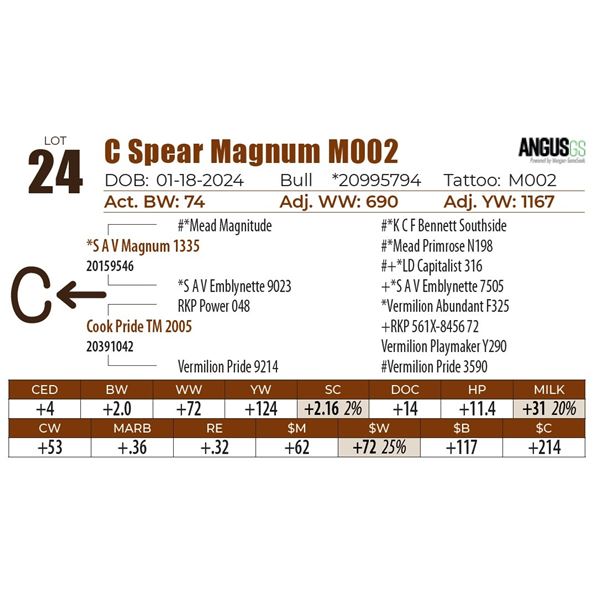 C Spear Magnum M002