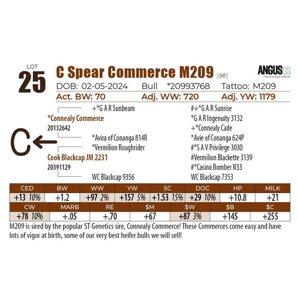 C Spear Commerce M209