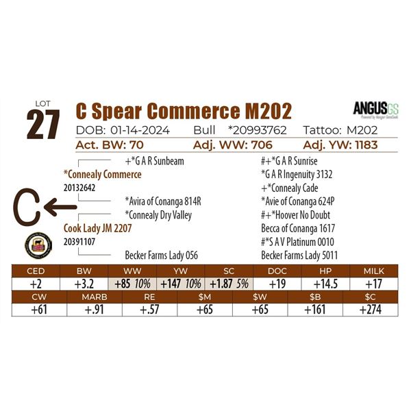 C Spear Commerce M202