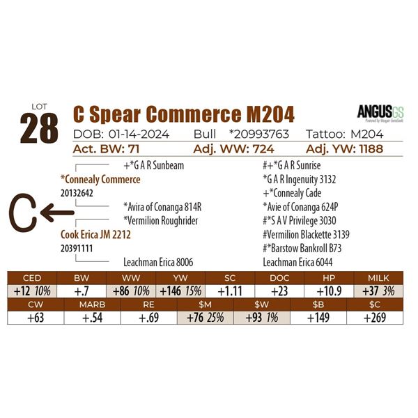 C Spear Commerce M204