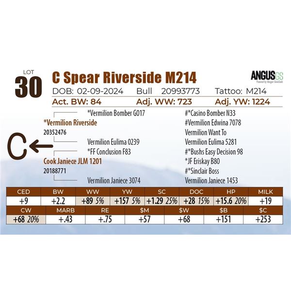 C Spear Riverside M214