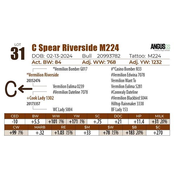 C Spear Riverside M224