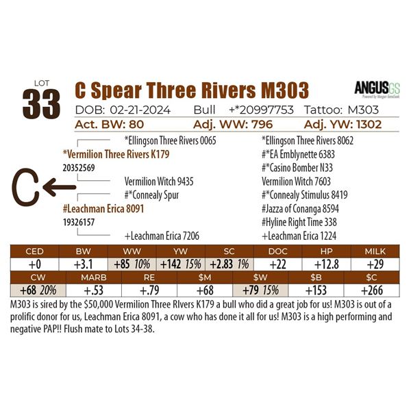C Spear Three Rivers M303