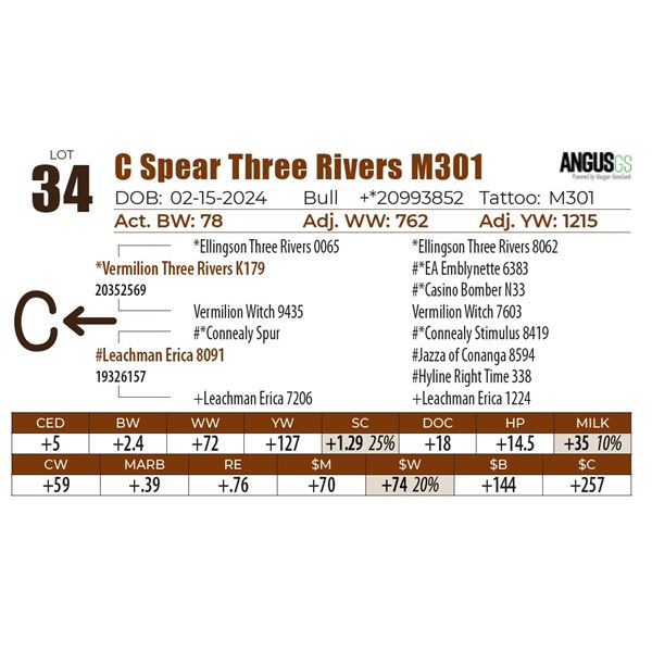 C Spear Three Rivers M301