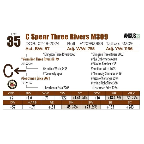 C Spear Three Rivers M309
