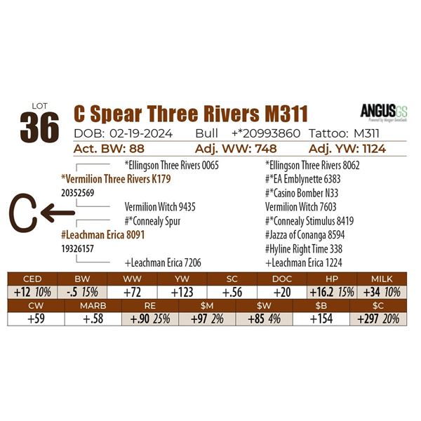 C Spear Three Rivers M311
